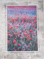 Blumenbild Poster Mohnblumen Düsseldorf - Pempelfort Vorschau