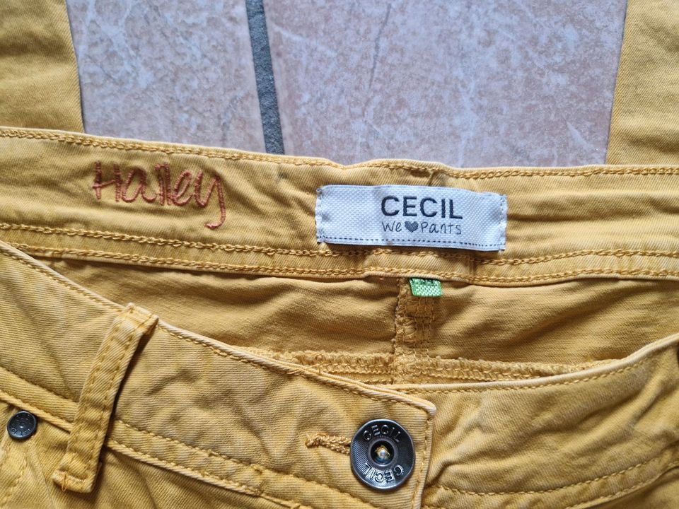 NEU - Cecil Hose, 34/32, Modell Haley in Nordrhein-Westfalen -  Recklinghausen | eBay Kleinanzeigen ist jetzt Kleinanzeigen