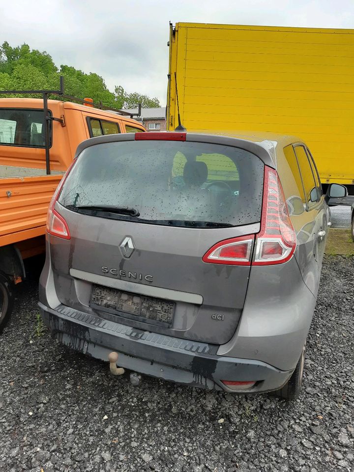 Renault Scenic III Schlachtfest in Seevetal