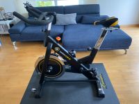 Spinningbike Darwin Indoor Bike Evo 30 – sehr guter Zustand Niedersachsen - Neuenhaus Vorschau