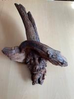 Holzschnitzerei, Holzgesicht ,  Wurzelgesicht Baden-Württemberg - Muggensturm Vorschau