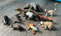 Schleich Tiere Nordrhein-Westfalen - Solingen Vorschau