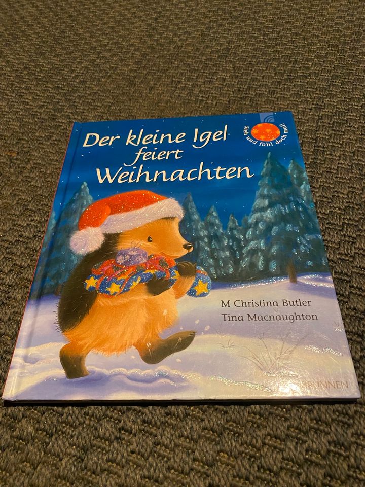 Bücher Set Adventskalender Dinosaurier Weihnachten in Mechernich