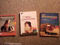 Meerschweinchen Pflege Haustier Ratgeber Buch Kosmos Sachsen-Anhalt - Quedlinburg OT Gernrode Vorschau