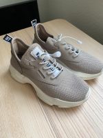 STEVE MADDEN Sneaker 'Match' Berlin - Steglitz Vorschau