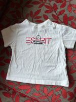 T-Shirt von Esprit Größe 80 Bayern - Gößweinstein Vorschau