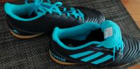 Herren Hallenturnschuhe Adidas Predator Größe 42,5 Baden-Württemberg - Tengen Vorschau