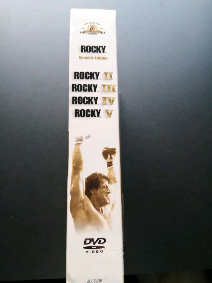 Rocky collection in Wilster