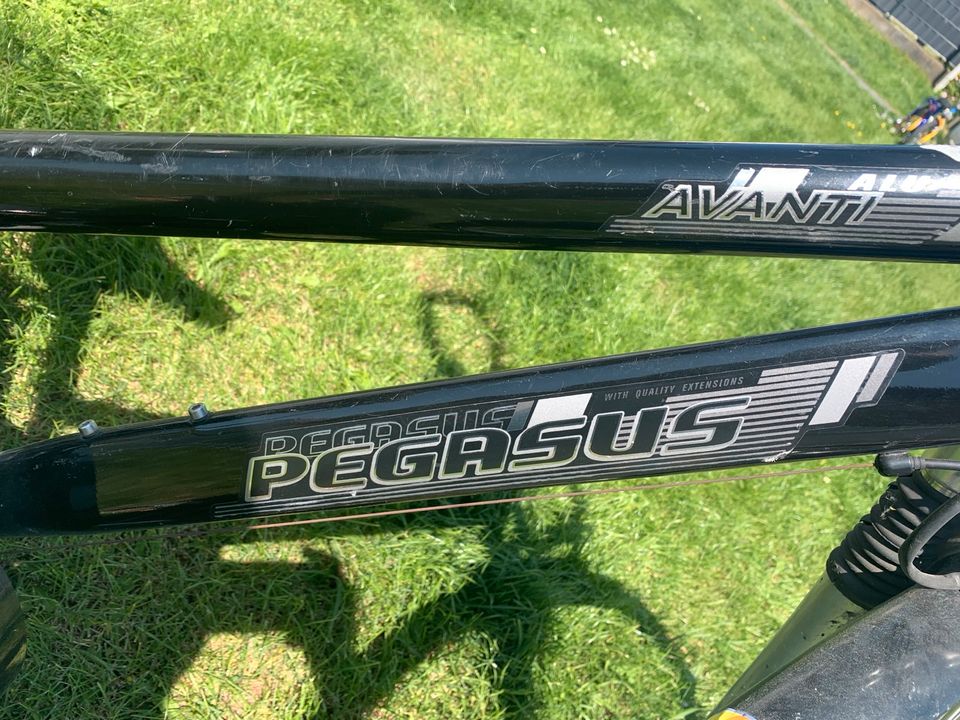 Fahrrad 28 Zoll Pegasus in Geseke