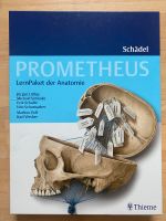 LernPaket der Anatomie Prometheus Münster (Westfalen) - Centrum Vorschau