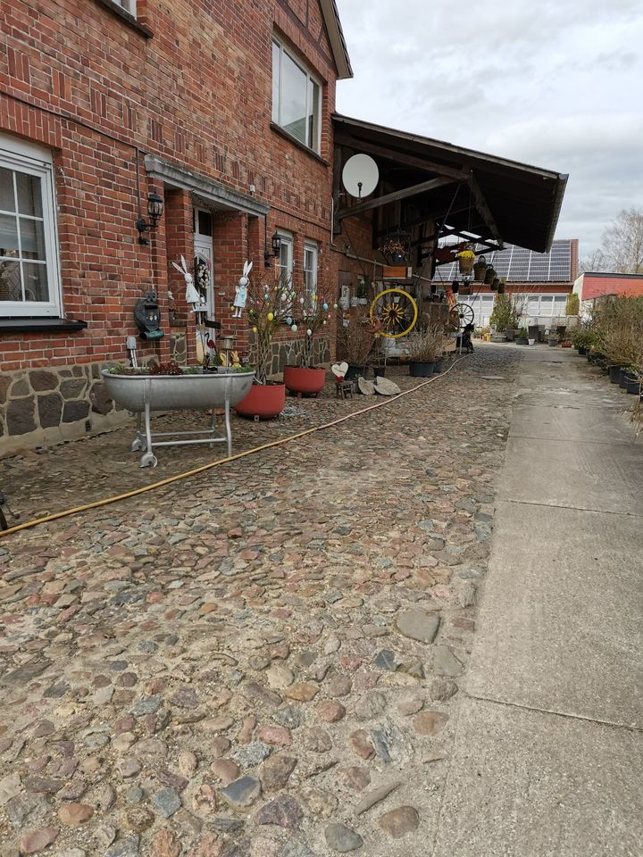 Landwirtschaftlicher Resthof in Woltersdorf