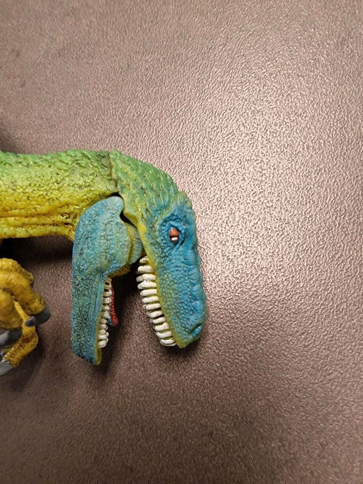 Velociraptor Schleich Dinosaurier neuwertig in Aach