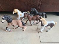 NEU Schleich Pferde Andalusier Trakehner Paint Hannoveraner Sachsen - Weinböhla Vorschau