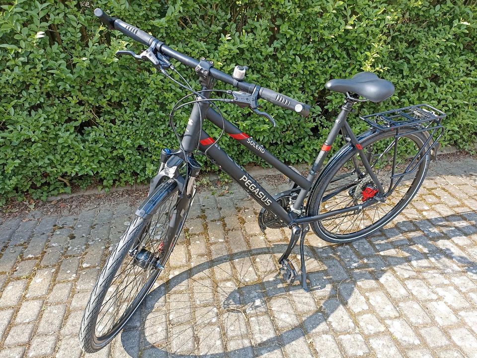 Pegasus Solero Trecking- und Tourenfahrrad Trapezrahmen 28" 58cm in Bottrop