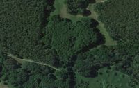 Waldgrundstück 1,9 ha Herzwald mit Erlenbestand Brandenburg - Grünheide (Mark) Vorschau