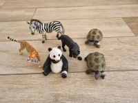 Schleich Tiere Schildkröten, Gepard,Pandabär,Zebra, Panther NEU Schleswig-Holstein - Kropp Vorschau