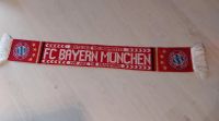 FC Bayern Schal Bayern - Simbach Vorschau