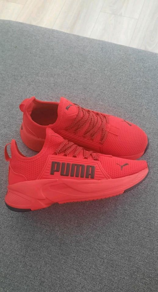 Puma Sneaker Sportschuhe Softride Astro in Aschaffenburg