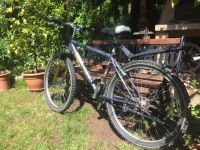 Raleigh Mountainbike Fahrrad Bike TOP Stuttgart - Bad Cannstatt Vorschau