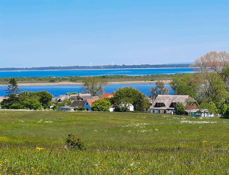 Ferienwohnung in Grieben auf Hiddensee in Vitte