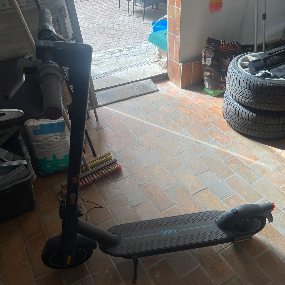 Segway Ninebot Max G30DII in Stamsried
