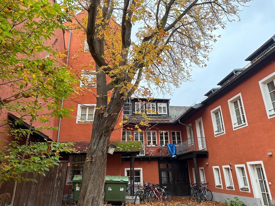 Traumensemble im Herzen der Stadt-17 Einheiten-saniert in Regensburg