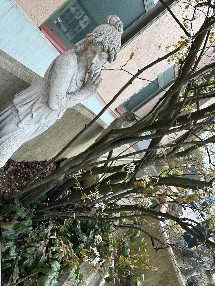 Alte Franz. Skulpturen, Brunnen + Pflanzkübel/Pflanztöpfe in Düsseldorf