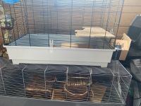 Hamsterkäfige mit Zubehör Nordrhein-Westfalen - Krefeld Vorschau