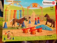 Farm World Schleich Vielseitigkeit Mecklenburg-Vorpommern - Gnoien Vorschau