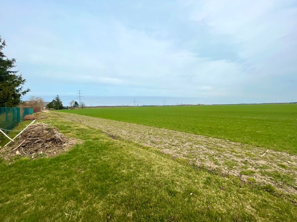 Baugrundstück von 780m² in einer ruhigen, ländlichen Umgebung mit unverbautem Blick aufs Feld in Raguhn