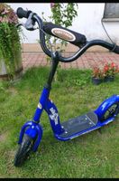 Roller Bikestar blau 10 Zoll Brandenburg - Döbern Vorschau