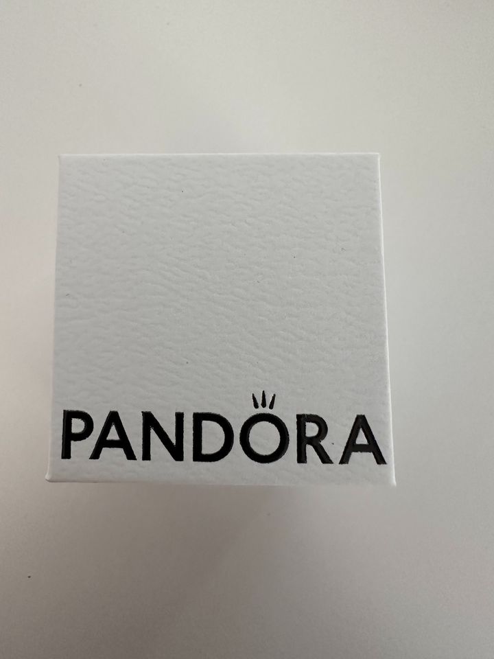 Pandora Pfoten Charm in Rosenheim