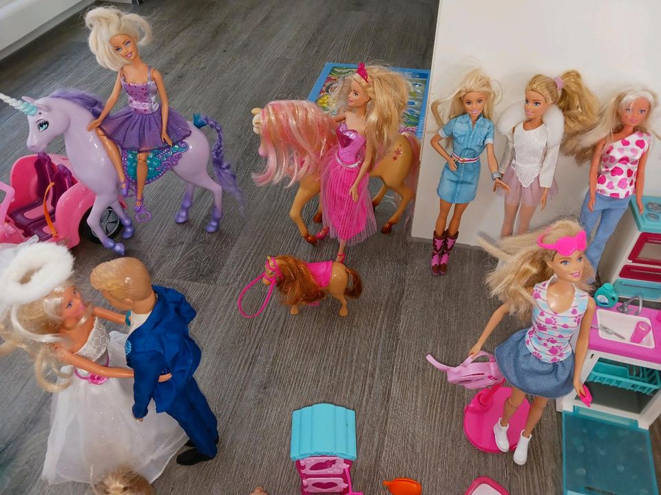 Riesiges Barbie Set, Barbie Puppen, Pferde, Autos, Tiere, uvm in Meschede