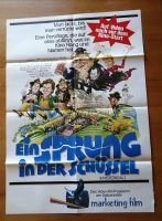 Ein Sprung in der Schlüssel Filmplakat ca. 59,5 cm / 84 cm Bayern - Frammersbach Vorschau