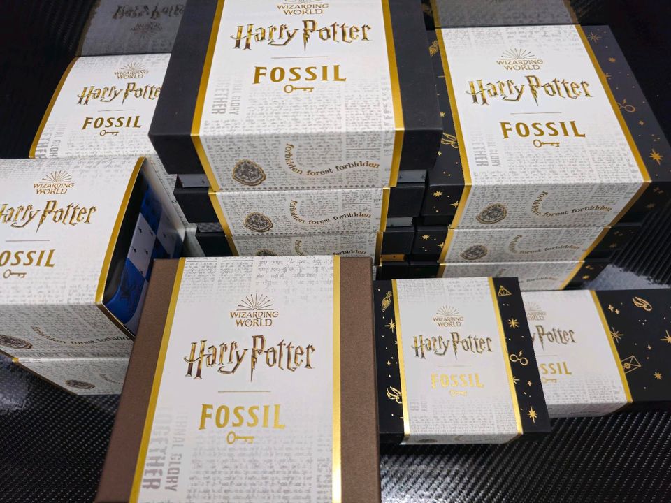 Fossil X Harry Potter - Komplettset - Uhren, Ketten, Ohrstecker in Ingelheim am Rhein