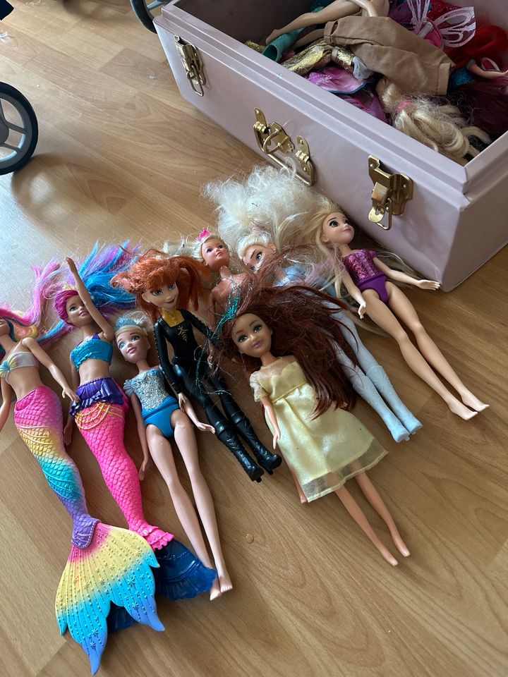 Barbie + Zubehör in Forchtenberg