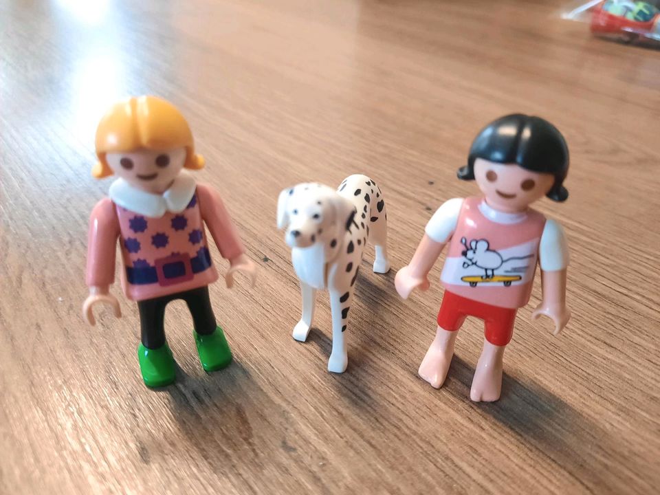 Playmobil Figuren Konvolut mit Hund und Katze in Leipzig