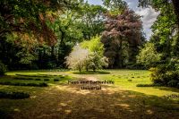 Gartenarbeit / Gartenpflege Rheinland-Pfalz - Kirn Vorschau