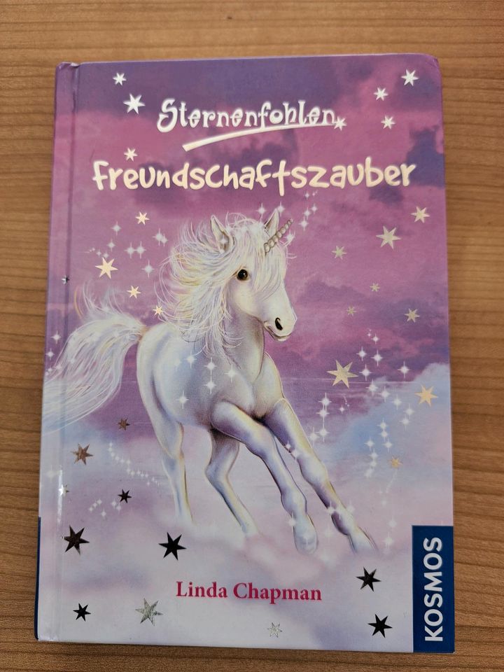 Mädchen Bücher ( je 2 Euro ) in Augsburg