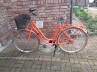 Pegasus Fahrrad Damen Nordrhein-Westfalen - Isselburg Vorschau