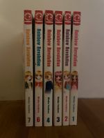 Rainbow Revolution Manga von Mizuka Yuzuhara. Berlin - Neukölln Vorschau