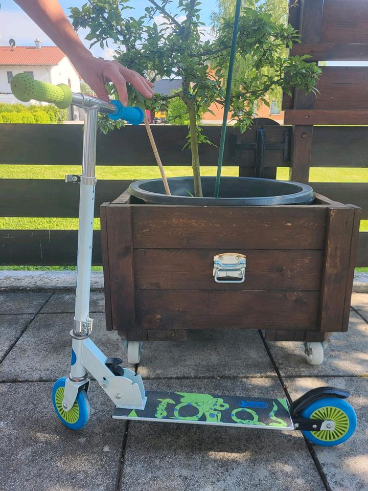 Roller für Kinder in Mallersdorf-Pfaffenberg