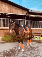 Eskadron Velvet Orange Vermillion Set Nordrhein-Westfalen - Castrop-Rauxel Vorschau