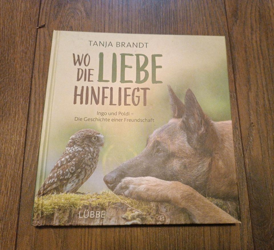 Wo die Liebe hinfliegt - Tanja Brandt, Buch in Blaustein