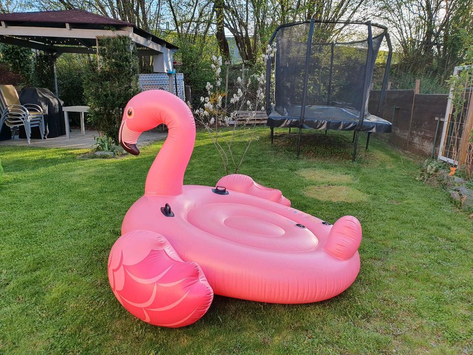 Flamingo zum aufblasen See Meer Achwimmbad Outdoor Sommer in Olching