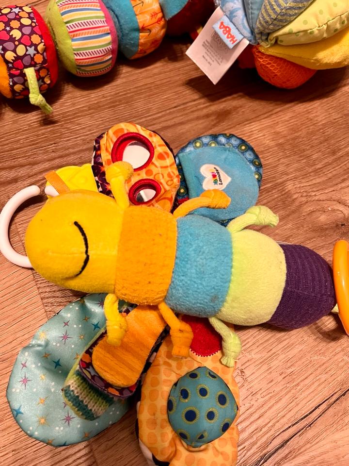 Lamaze Raupe Motte Glühwürmchen Haba Motorik Activity Baby in Köln