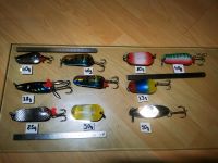 Blinker Hardbait Set 33-90g Saarland - Schmelz Vorschau