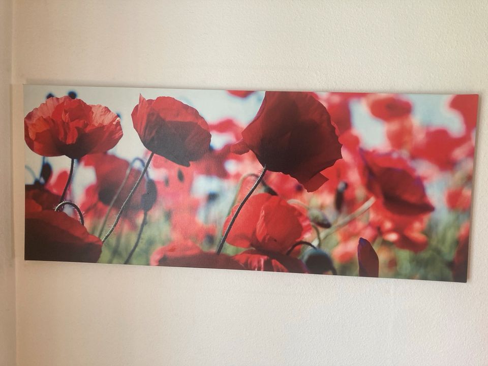 Ikea Bild Mohnblumen „PJÄTTERYD“ 140x56cm in Heideck