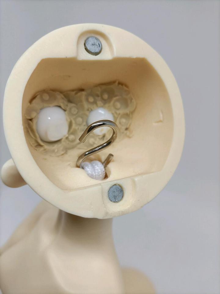 RESERVIERT! BJD MSD 1/4 Customhouse Ai Rena Doll Legit Puppe in Pfinztal