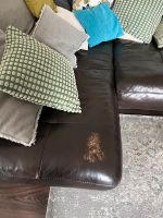 Lederreparatur Sofa Hannover - Herrenhausen-Stöcken Vorschau